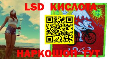 стаф Кандалакша