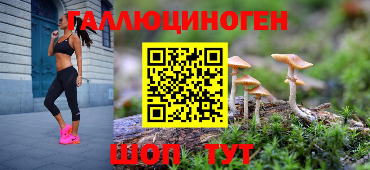 Галлюциногенные грибы Psilocybine cubensis Южноуральск